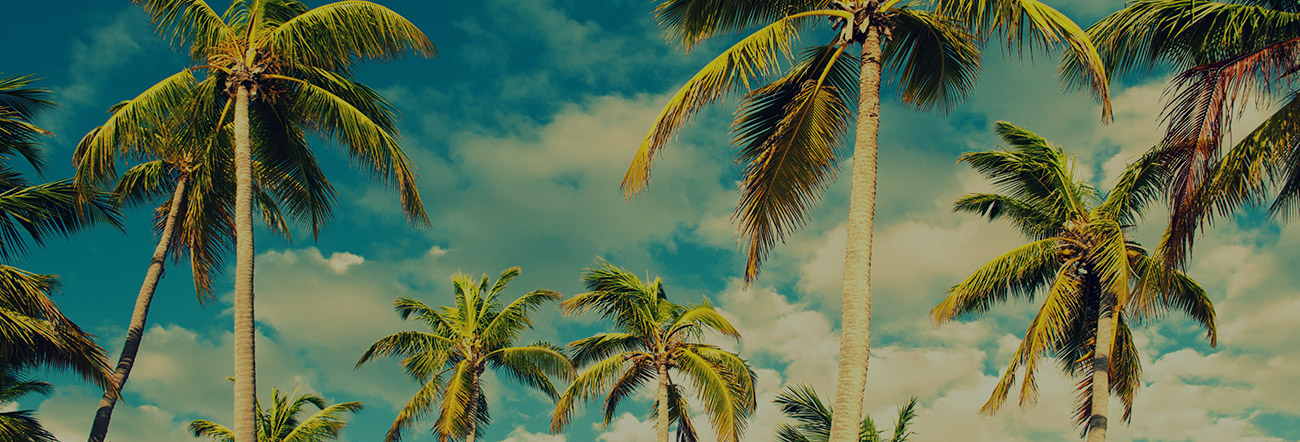 Fiji on sale.