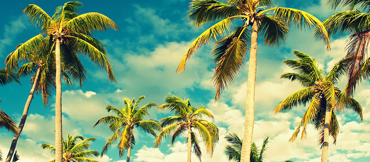 New Year sale: Islands.