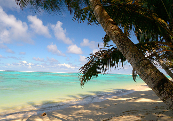 Fiji on sale.