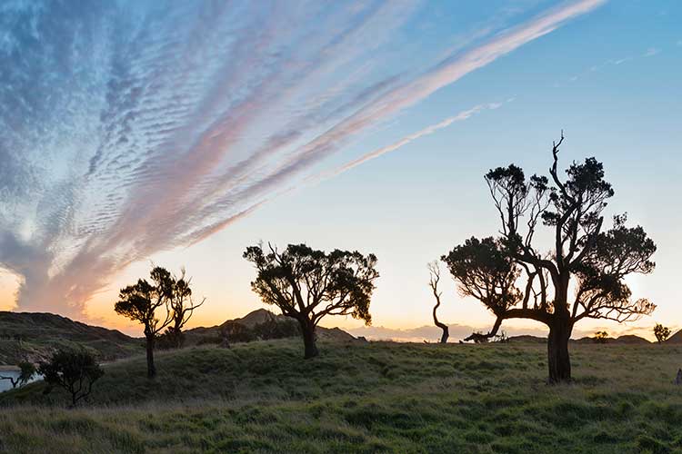 Air Chathams makes four.