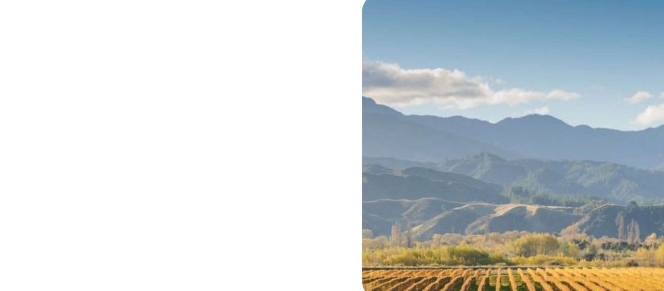 Fly to Nelson
