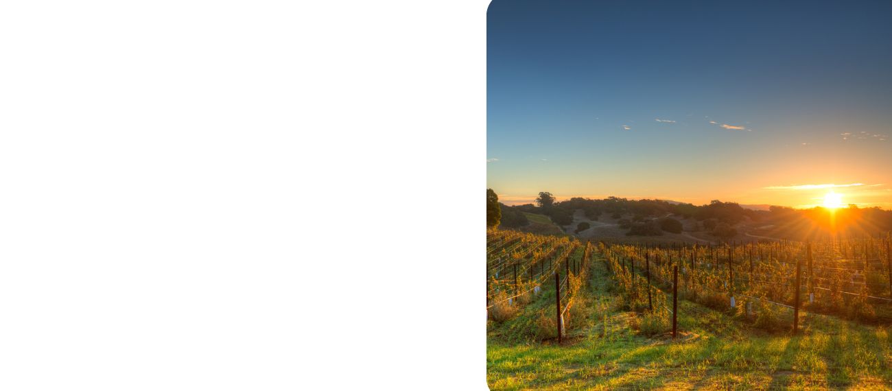 Qantas Adelaide Flight Deals