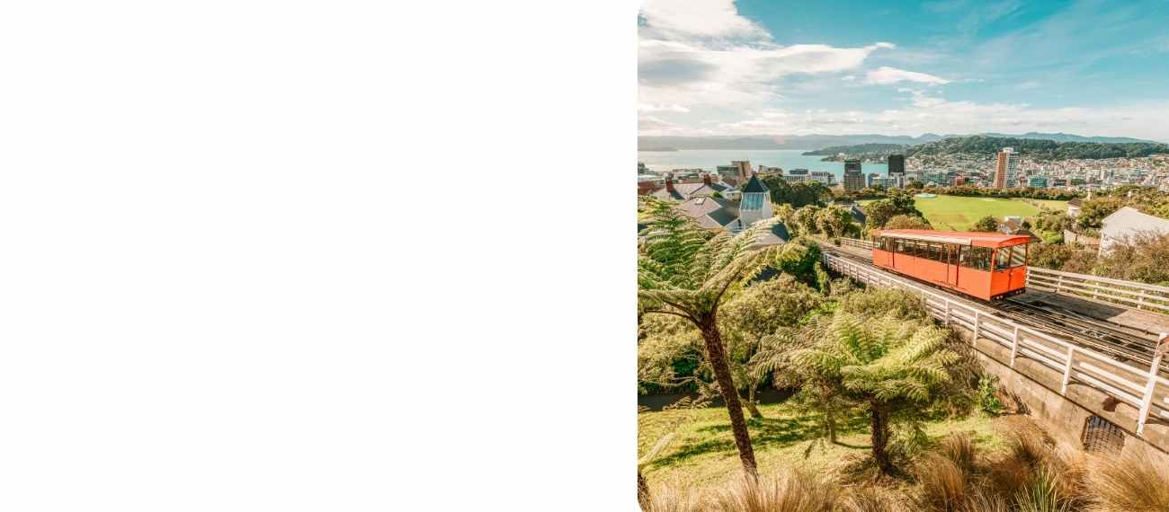 Wellington flight Deals