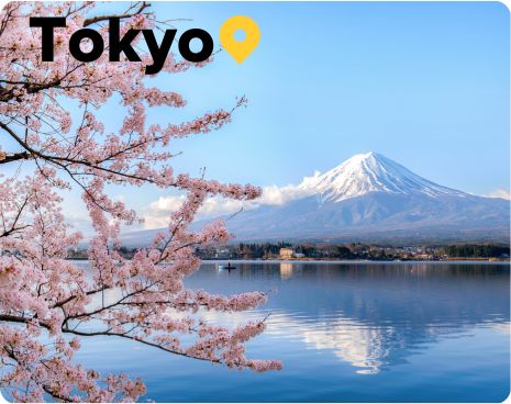 Mount Fuji with Cherry Blossoms Tokyo Japan