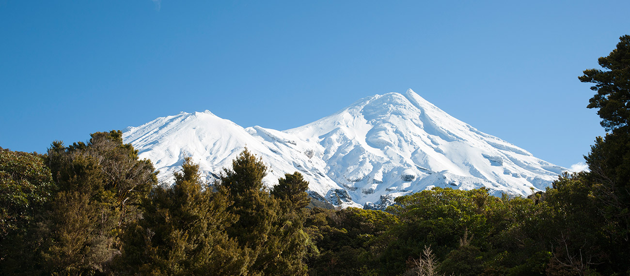 Flights to New Plymouth