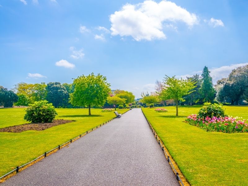 A sunny park scene with a central paved path lined by green grass and trees. Flowers bloom on the right. The sky is bright blue with fluffy clouds.