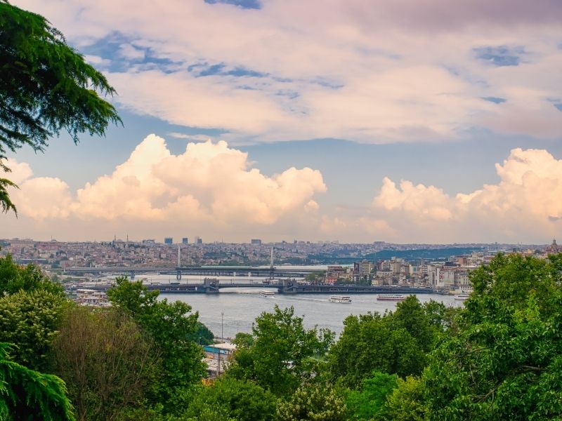 View of a cityscape with a river in the foreground, surrounded by lush green trees.