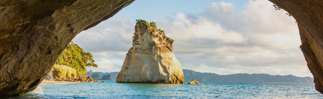 Cathedral Cove Coromandel