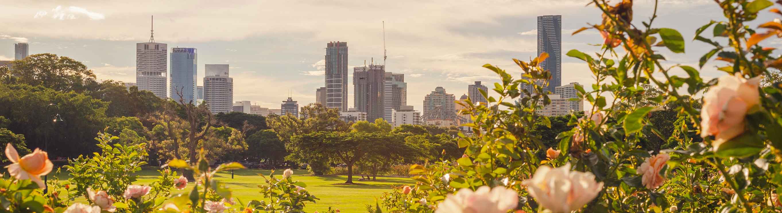 Brisbane city skyline from New Farm Park
