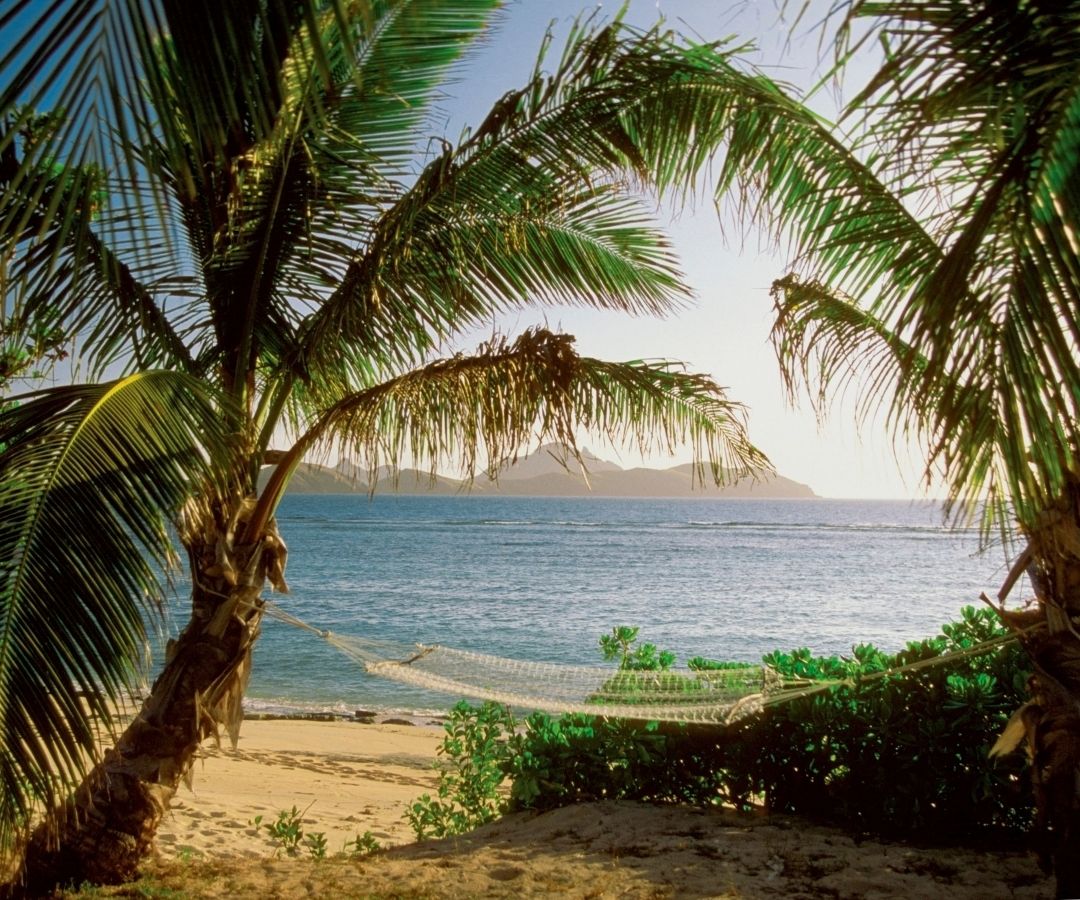 Hammock next to a palm beach