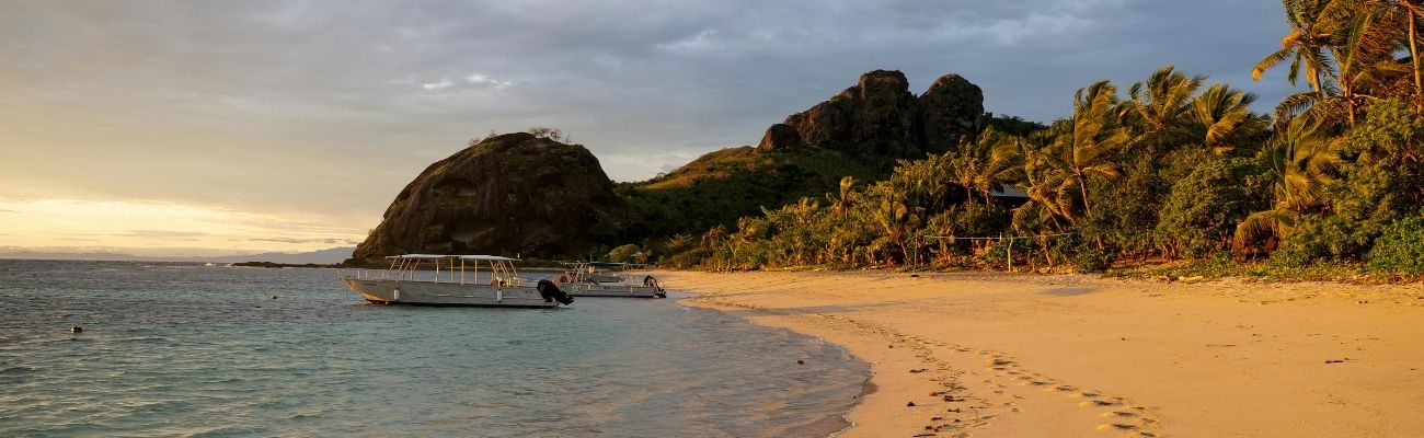 Beach at sunset with palm trees