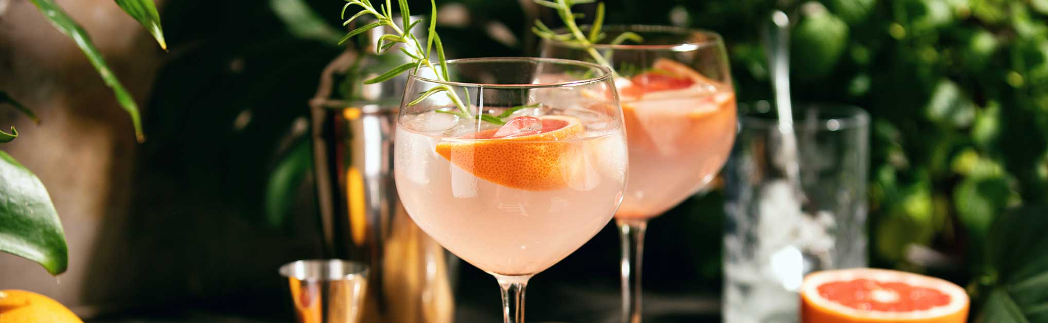 Pink grapefruit and rosemary gin cocktail is served in a prepared gin glasses