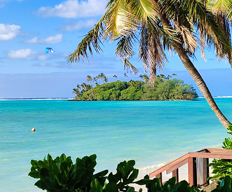 rarotonga palm tree ocean view