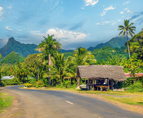 rarotonga road and trees