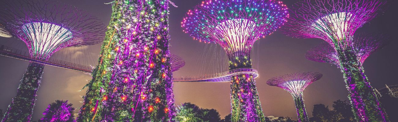 singapore-garden