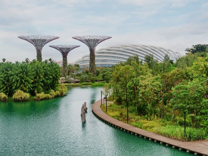 gardens-by-the-bay