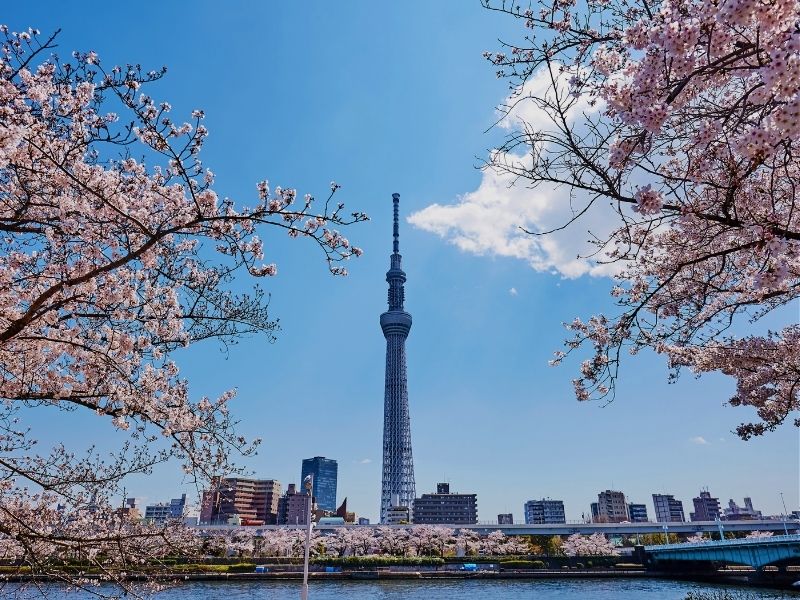 tokyo-city