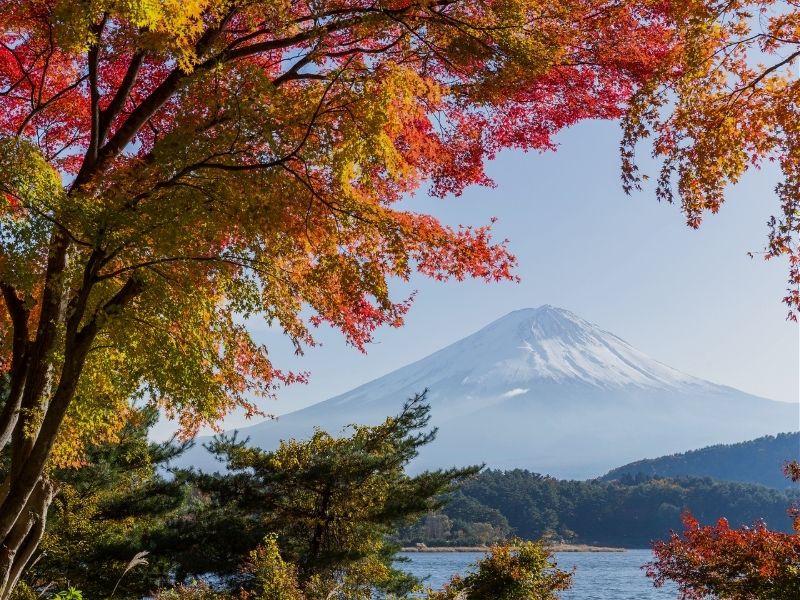 tokyo-mt-fuji