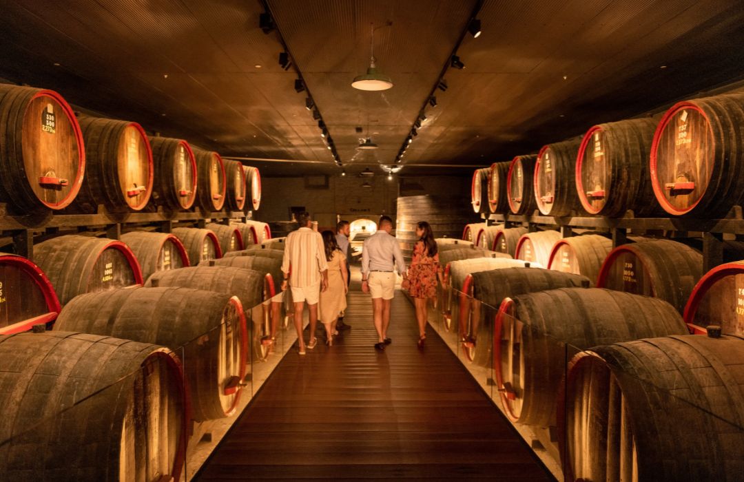 adelaide-vineyard