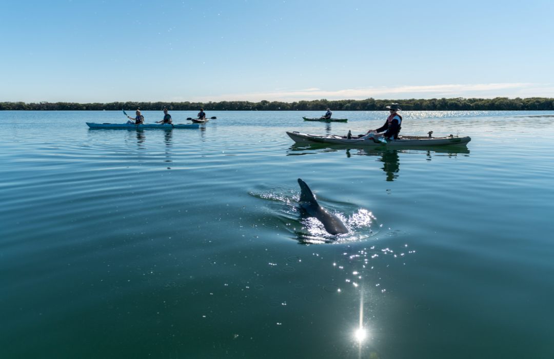adelaide-kayak