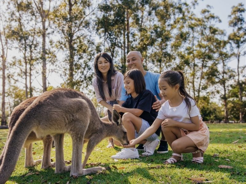 Family feeding kangaroo