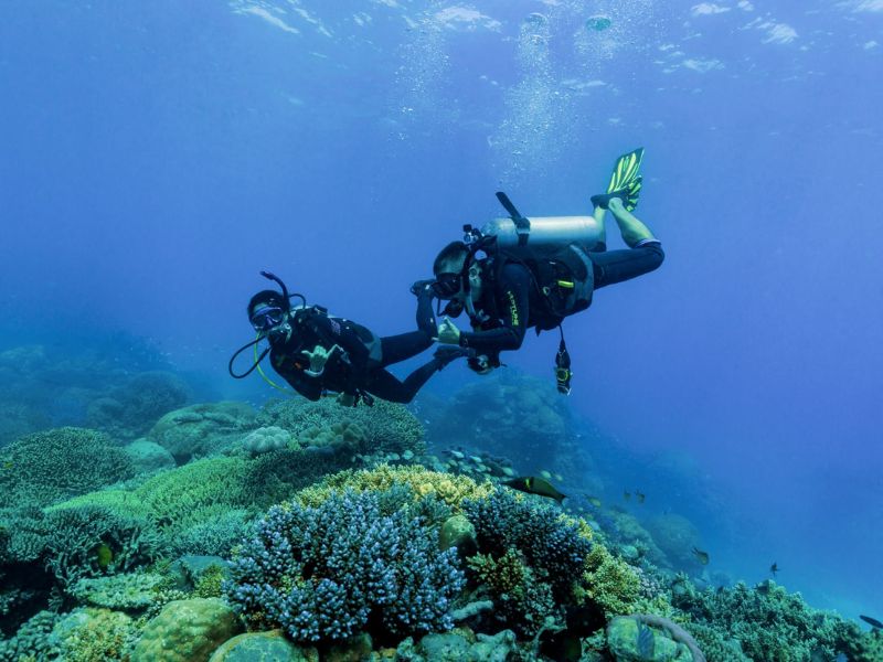 Divers
