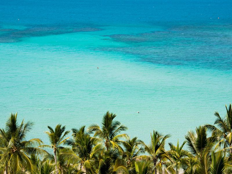 hamilton-island-beach