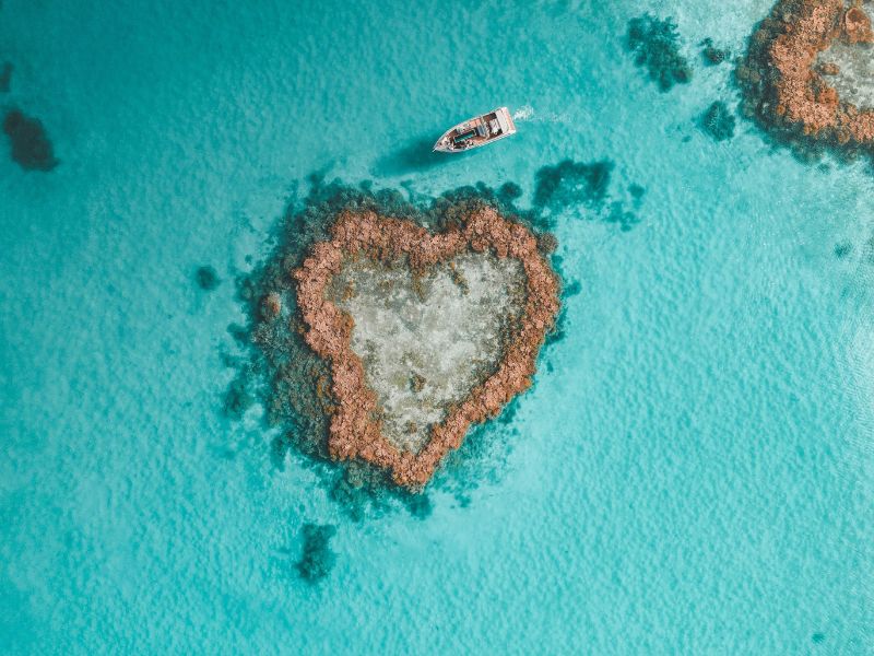 hamilton-island-reef