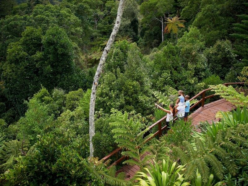 Bushwalk Norfolk
