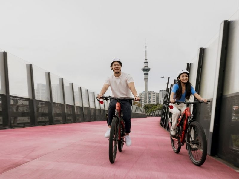 auckland-cycling