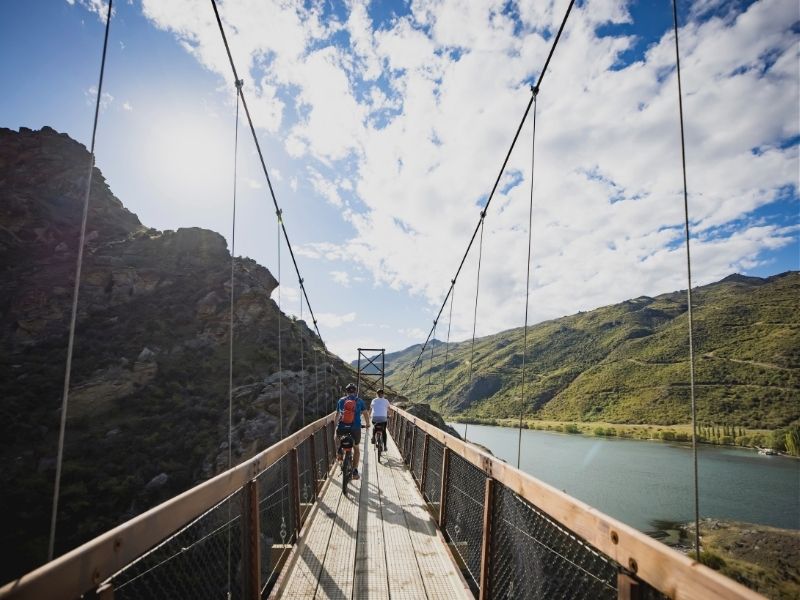Bridge-Dunedin