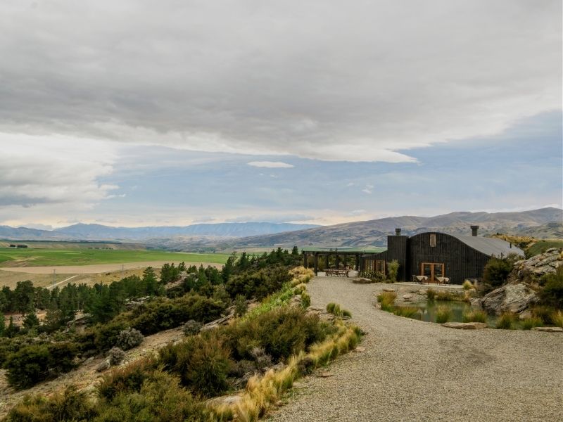 house-in-dunedin
