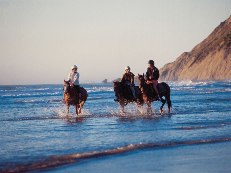 Horse riding at beach