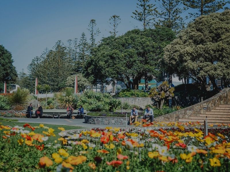 Park with flowers