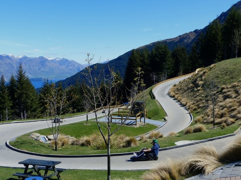 queenstown-luge