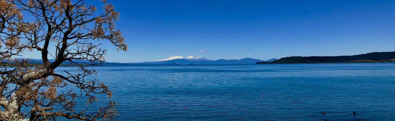 lake taupo shoreline