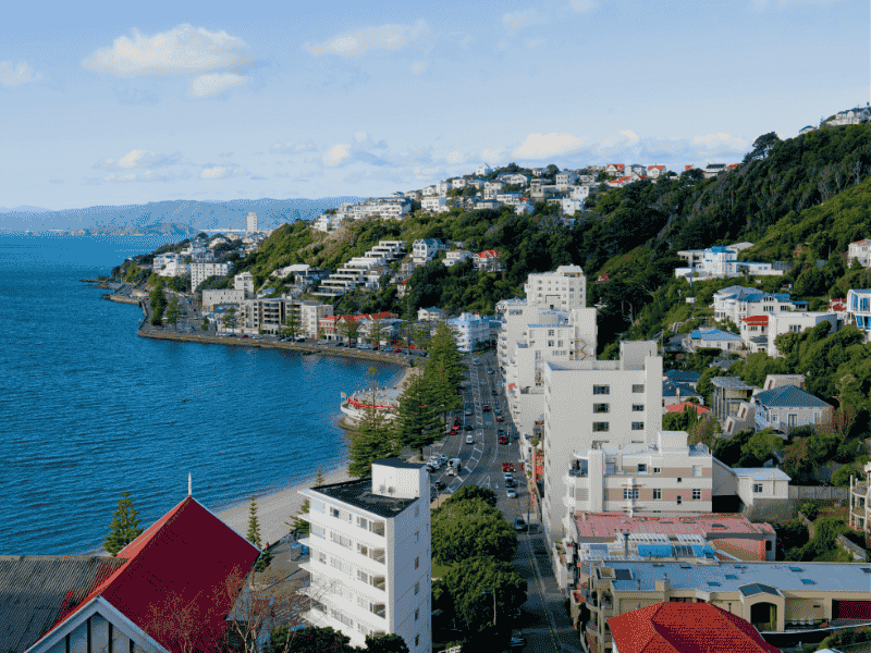 wellington-new-zealand-buildings-coast