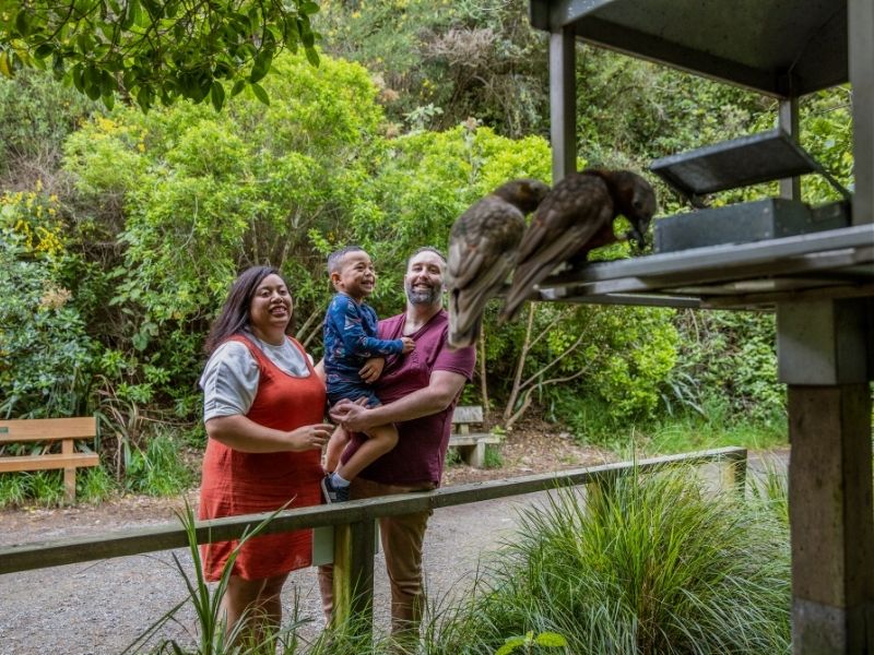 wellington-family-activity