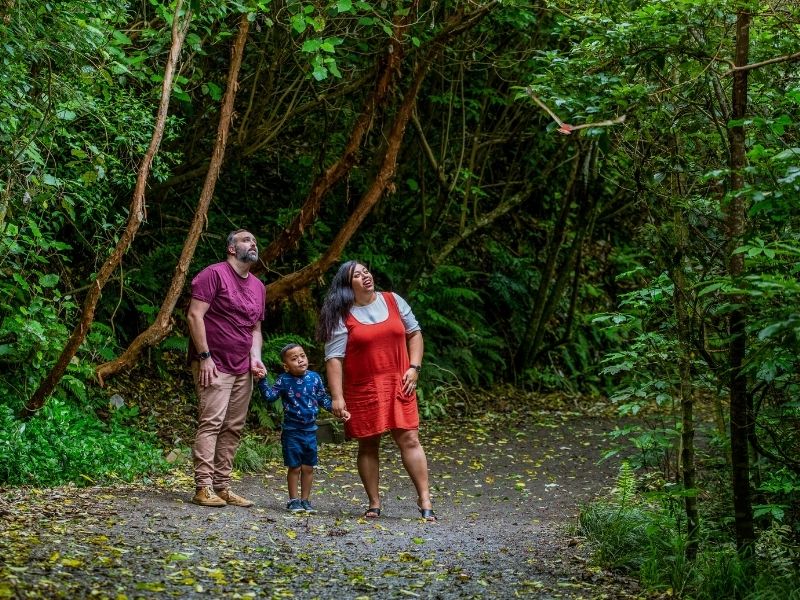 wellington-family-activity
