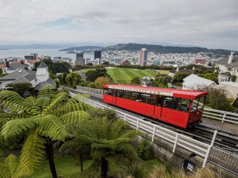 wellington-tram