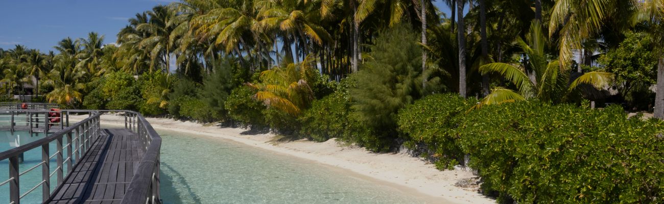 tahiti-walkway