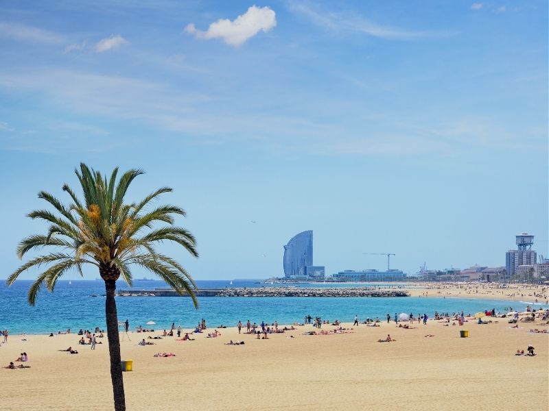 barcelonalady