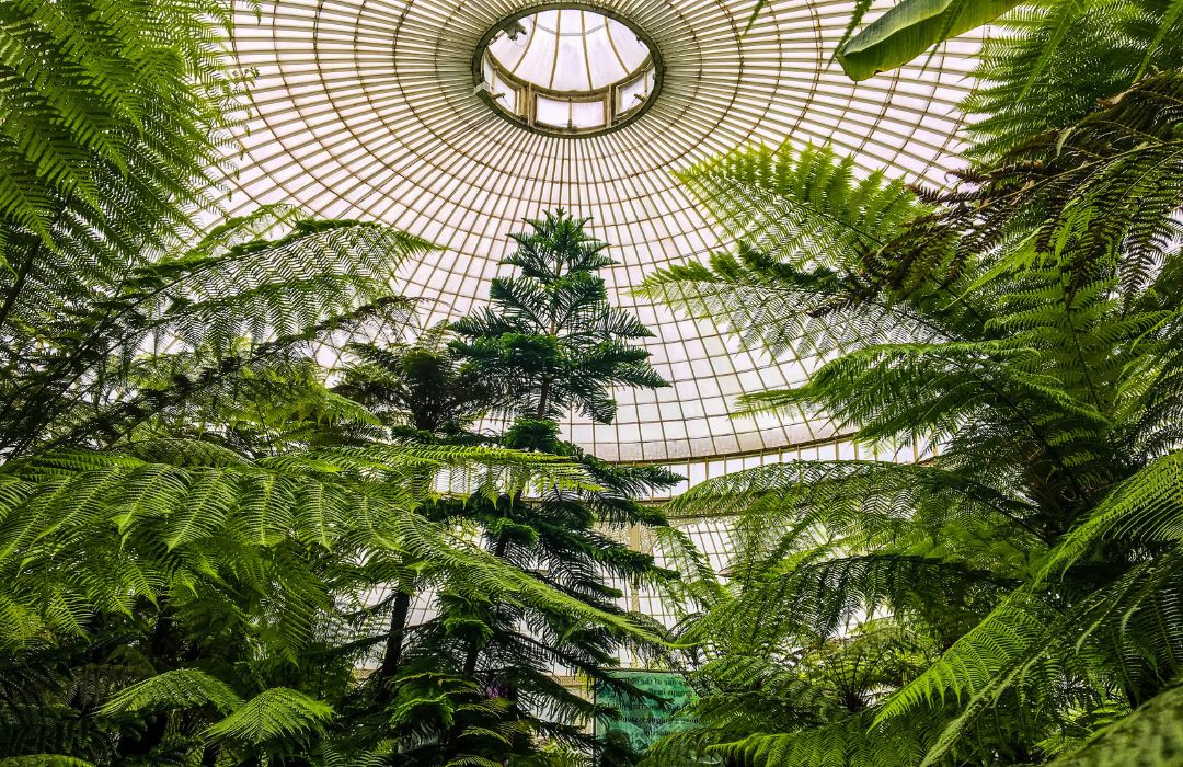 glasgow-botanical-gardens