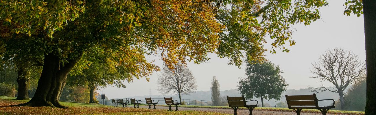 manchester-park