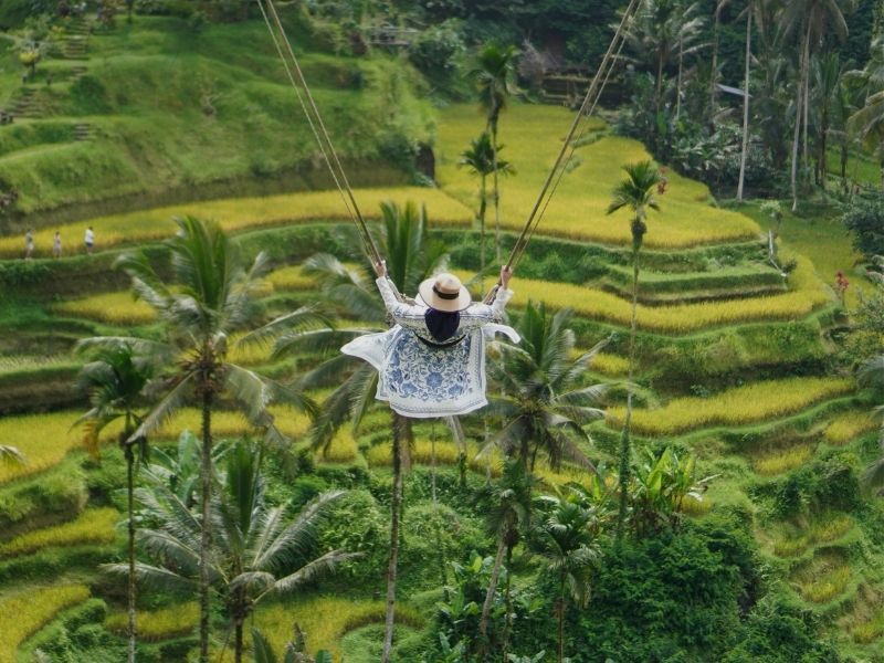lady on swing in ricce terraces bali