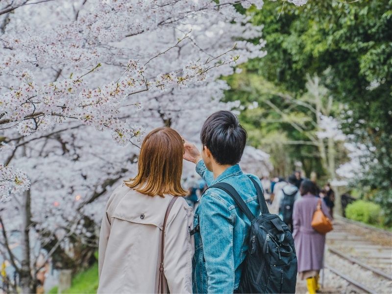 copuple photographing cherry blossoms