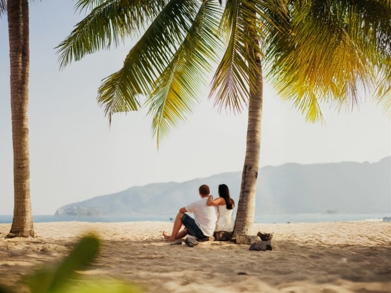 couple under palm trees
