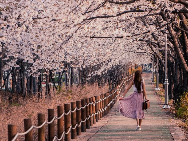 lady walking down Philosopher’s Path