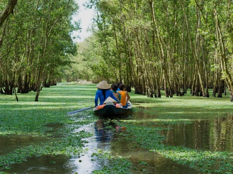 boat on mekong delta