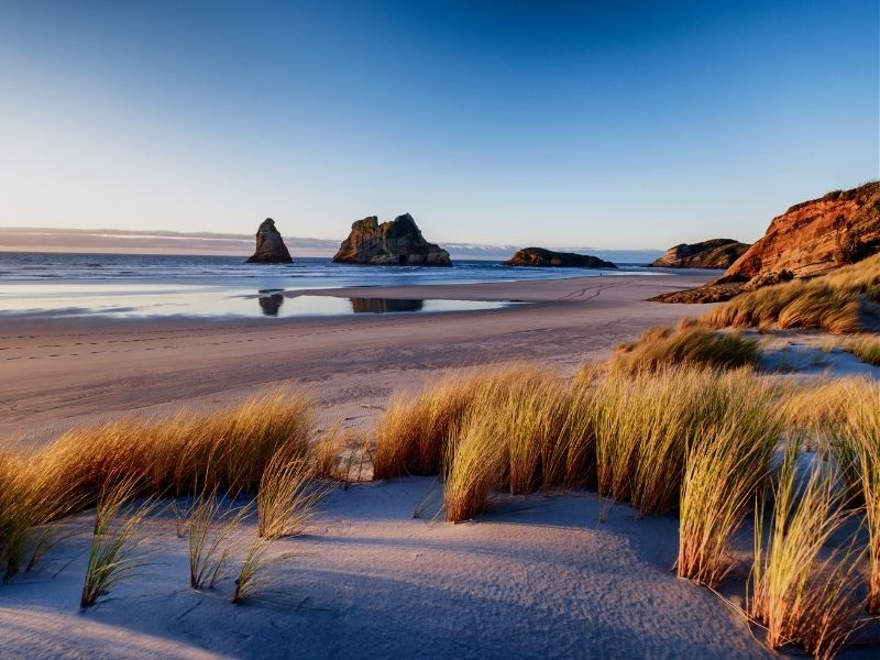 new zealand beach